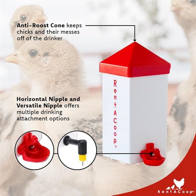 RentACoop 32oz(1L) Drinker Plus 2 Versatile Nipples - Suitable for Chicks, Quail, Pigeons, Doves, and Other Smaller Birds - 1 Pack