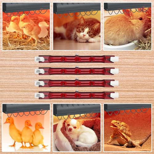 Tujoe 4 Pcs 250w Chicken Coop Heat Lamp Replacement for Pets Brooder Heater - mainly glass - Image 6
