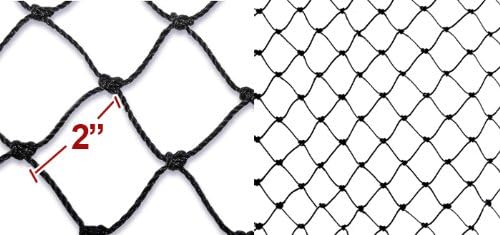 New Anti Bird Netting 100' X 50' Net Netting Aviary Game Poultry Bird 2"x2" Mesh