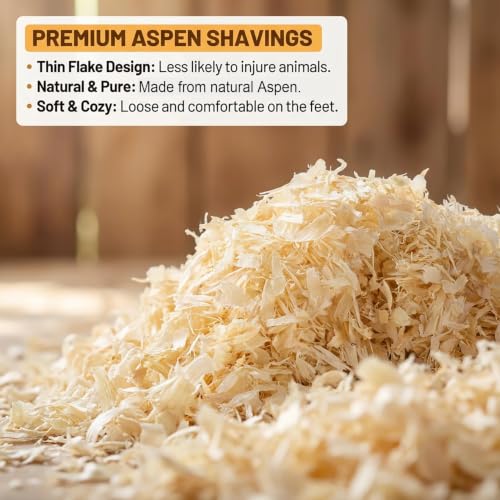 Sukh 31 OZ Chicken Coop Bedding, Aspen Shavings Small Animal Bedding - Beige - Image 4