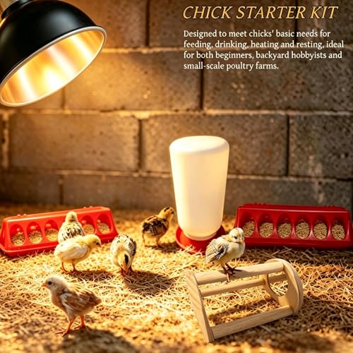 Chick Starter Kit with 75w Heat Lamp, 5-in-1 Baby Chicken Brooder Supplies - red, white, black, Metal & Plastic - Image 3