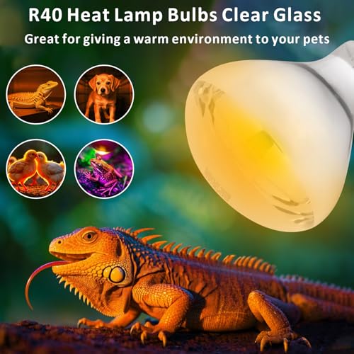 Aiicioo 250W R40 Clear Heat Lamp Bulb R40 Incandescent Heat lamp Bulb for Pets Flood Light - Glass, 2 Pack - Image 5