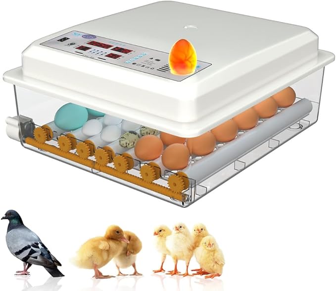 Egg Incubators for Hatching Eggs, Chicken Incubator for Eggs with Automatic Egg Turning and Humidity Control, for Hatching Chickens, Quails, Ducks, Geese，Parrots