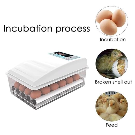 Egg Incubator with Automatic Turning, 36 Eggs Capacity, Digital Temperature Control, Dual Power, for Chicken, Duck, Goose, Birds