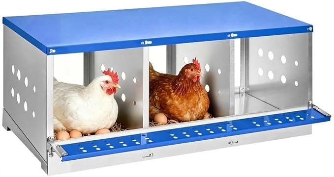 Heavy Duty Metal Chicken Nesting Box – 3 Compartments, Galvanized Steel, Breathable Holes, Resting Platform, Easy Clean, Rollaway, Wall Mounted/Floor, Blue, 96×48×40cm, Without Cover