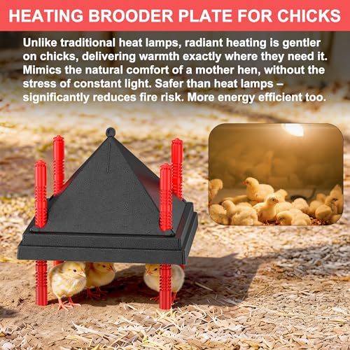 Chick Brooder Heating Plate with Anti Stand Cone - 12" x 12" with Fixed Temp, Black, Acrylonitrile Butadiene Styrene (ABS), 12"x12" Fixed Temp Black - Image 7