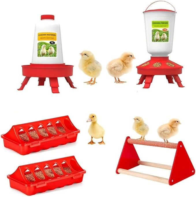 5pcs Chick Feeder and Waterer Kit,Top Fill 1kg Chick Feeder and 1L Chick Waterer,Baby Chicken Supplies with Chicks Perch,for Coop and Brooder for Small Poultry Ducks Quail