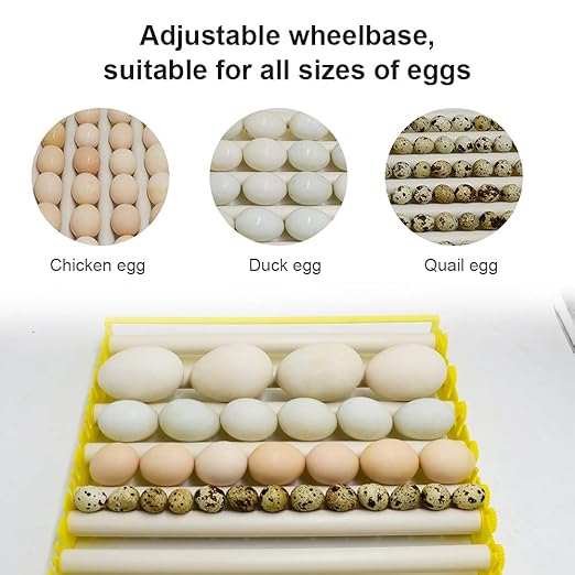 HBtree Automatic Multifunction Incubator Egg Tray Turning Hatcher for Chickens/Ducks/Birds/Poultry（7 Tubes）
