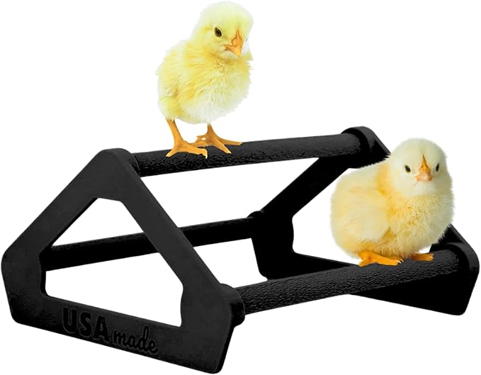 Roosting Perch for Baby Chickens, Chick Brooder Coop Training Toy Accessory, Easy Click Together Assembly, Durable Plastic, Mix and Match Colors, USA Made (Black, 1 Pack)