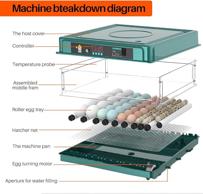Automatic Egg Incubator 12-38 Egg Digital Poultry Hatcher Machine ith Automatic Egg Turning, Temperature & Humidity Control, Efficient LED Lighting for Chicken Geese Ducks Pigeons Quails (12 Eggs)