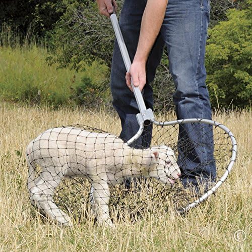 Premier 1 EZ Catch Net (37"- 57" Handle with 23" Net Opening & Teardrop Mesh)