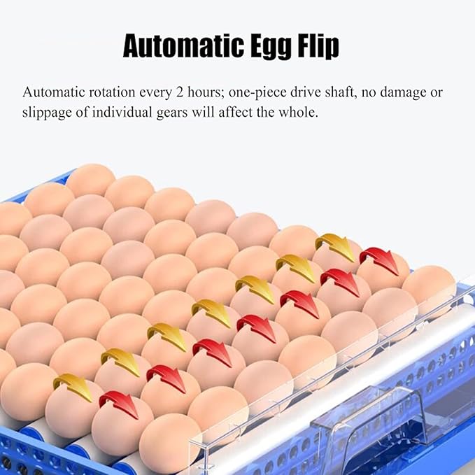 Egg Incubator with Automatic Egg Turning, Egg Hatching Incubator with Lab General Purpose 256 Eggs Incubators with Temperature Control for Chickens Ducks Birds,Q