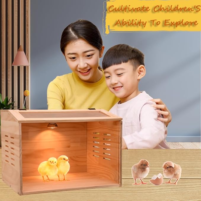 Brooder Box for Chicks, Chicken Brooder Box, Chicken Heater, Poultry Brooder with Heaters for Baby Chicks, Ducks, Quail Birds
