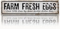 Funny Chicken Decor, Farm Fresh Eggs Sign, 15.8x4 inches, Vintage Farmhouse Decoration for Chicken Coop, Funny Hen House Decor, Aluminum Metal Tin Signs, Gift for Chickens Owner