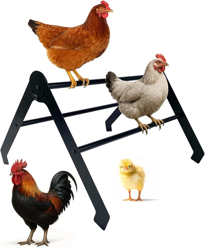 Chicken Roosting Bars for Coop – Adjustable Stainless Steel Chick Perch and Ladder for Poultry, Chicks and Birds, Easy to Install and Clean, Ideal for Coops, Farms, and Backyard