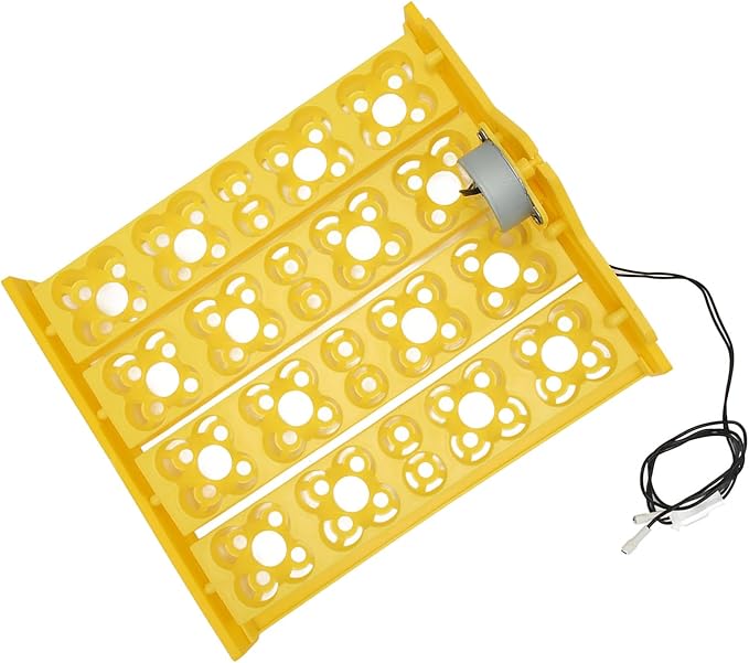 Egg Incubator Tray, Multifunction Automatic Egg Turner Incubator Tray Eggs Automatic Egg Turner Turning Tray for 16 Duck Eggs 16 Eggs 72 Quail Eggs Incubation (AC12V)