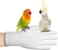Bird Training Anti-Bite Gloves, Bite Proof Gloves, Small Animal Handling Chewing Protective for Small Animal Pet（White）