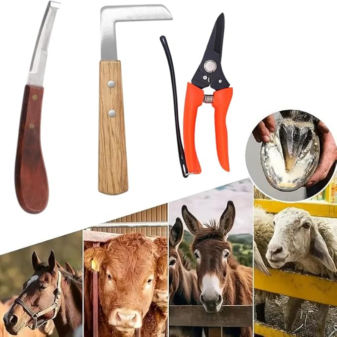 10 inch Farrier Tool Kits （8 Piece）Horse Goat Hoof Trimmers Carbon Steel Nippers Shears Nail Clipper Mini Rasp Hoof File Professional Farriers Hoof Nipper Cutter Handle Knife with Storage Bag