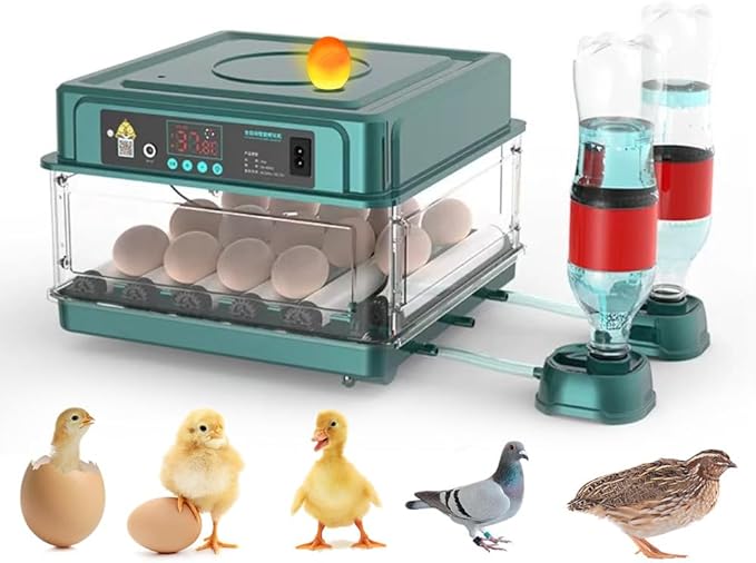 Automatic Egg Incubator 12-38 Egg Digital Poultry Hatcher Machine ith Automatic Egg Turning, Temperature & Humidity Control, Efficient LED Lighting for Chicken Geese Ducks Pigeons Quails (12 Eggs)