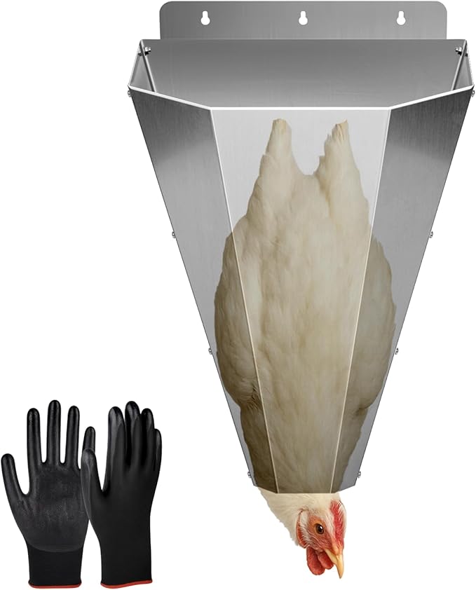 Large Chicken Cone for Butchering, Upgraded Thickened Stainless Steel Kill Cone, Flat-Back Killing Cone for Poultry Processing, Fits Chickens up to 18 lbs, Ideal for Farm or Backyard Use (Silver)