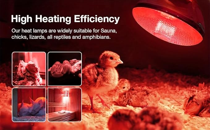 2 Pack 250W Heat Lamp Red Infrared Bulbs Glass Lamp Bulb for Food Service, Brooder Bulb, Chicks, Pet, Bathroom, Light Therapy Use E26 Base, Flood Light Heat Lamp.