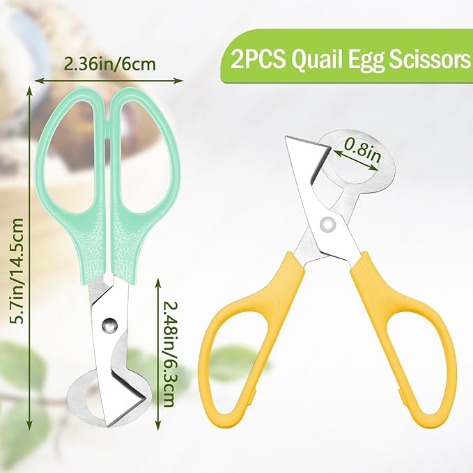 AHIER Pigeon Quail Egg Cutter Scissors Stainless Steel Blades Bird Cutter 2 Pack