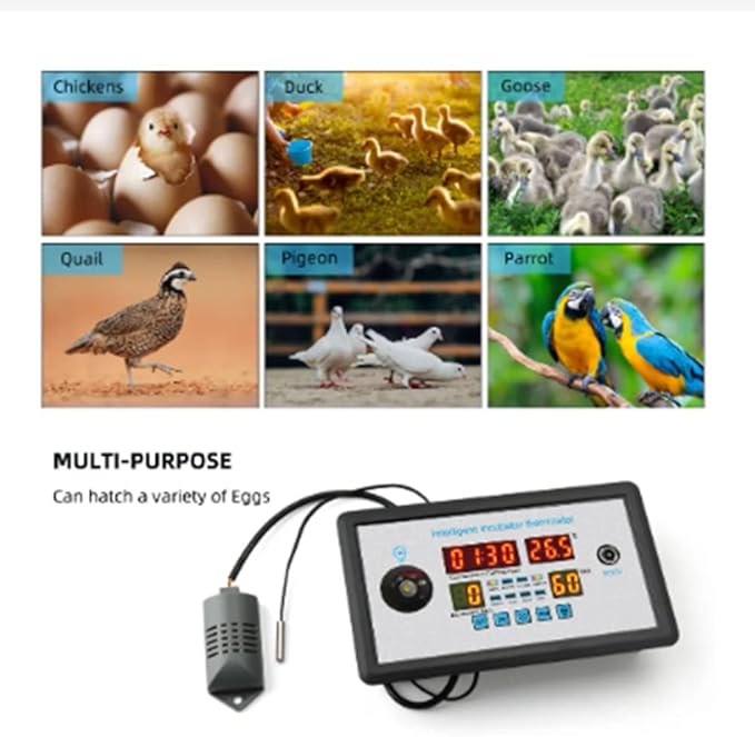 Smart Thermostat Digital ZFX-W9002 Thermostat Temperature Humidity Control Incubator 360 Automatic Egg Turning 12V