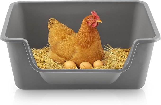 1 Pcs Washable Chicken Nesting Box, Floor Durable Chicken Coop Accessories Easy to Clean Plastic Square for Hens Ducks and Poultry for Egg Collection Backyard