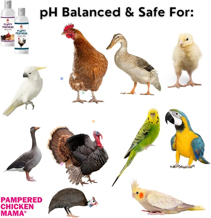 Feather Shampoo for Chickens | Bird Shampoo for Cockatiels, Cockatoo, Parrots: Poultry Conditioner & Baby Chicken Supplies, Gamefowl Supplies for Clean Feathers (Peppermint)