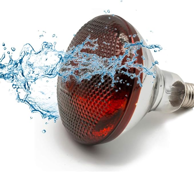 Infrared Heat Lamp Waterproof Anti-Explosion Light Bulb for Piglet Chicken Duck Birds(250w,120v)
