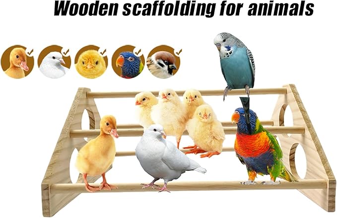 Large Wooden Pine Chick Perch Roosting Bar for Baby Chicks Brooder Coop, Chicken Training Toy Stand