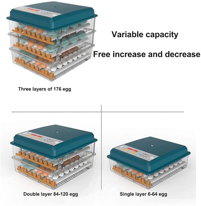 Digital Incubatores,Egg Incubator with Automatic Turning Function, Digital Automatic Hatcher with Temperature Control,for Egg Duck Egg Bird Egg Turkey Eggs Home, Blue-24 Egg