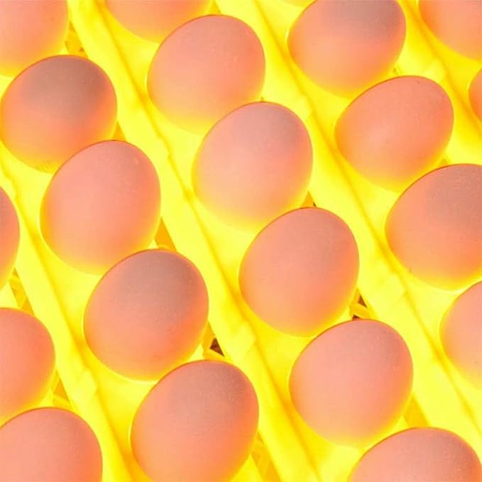 56 Egg Incubator Automatic Turning Digital Poultry Hatcher Temperature Humidity Control Built-in LED Egg Candler, for Chicken Duck Goose