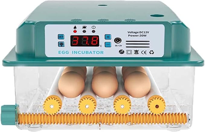 Egg Incubator, 12 Egg Incubator Digital with Temperature Control and Automatic Turning Chicken Poultry for Duck Goose Quail