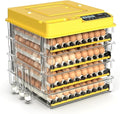 Egg Incubator - 2026 New Egg Incubator with Automatic Egg Turning and Humidity Control,Large Poultry Hatcher for Chickens Birds Ducks (288 Eggs)