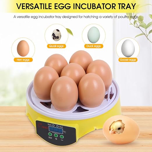 HOWOOIUA Egg Incubator 360° View 7 Eggs Poultry Incubator for Hatching Chickens with Manual Temperature a for Chicken, Quail, Parrot Eggs