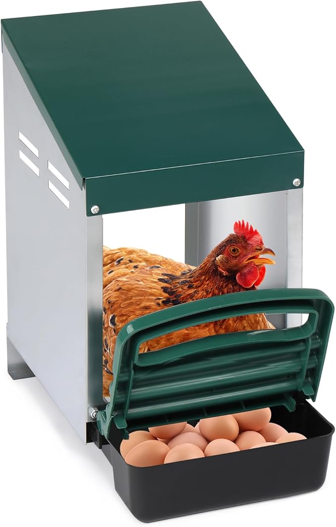 Single Compartment Chicken Nesting Box with Plastic Basket, Perch Cover for Hen, Egg Nest Box Chicken Laying Box Hens with Swing Perch and Roll Out Egg Collection for Chicken Coop
