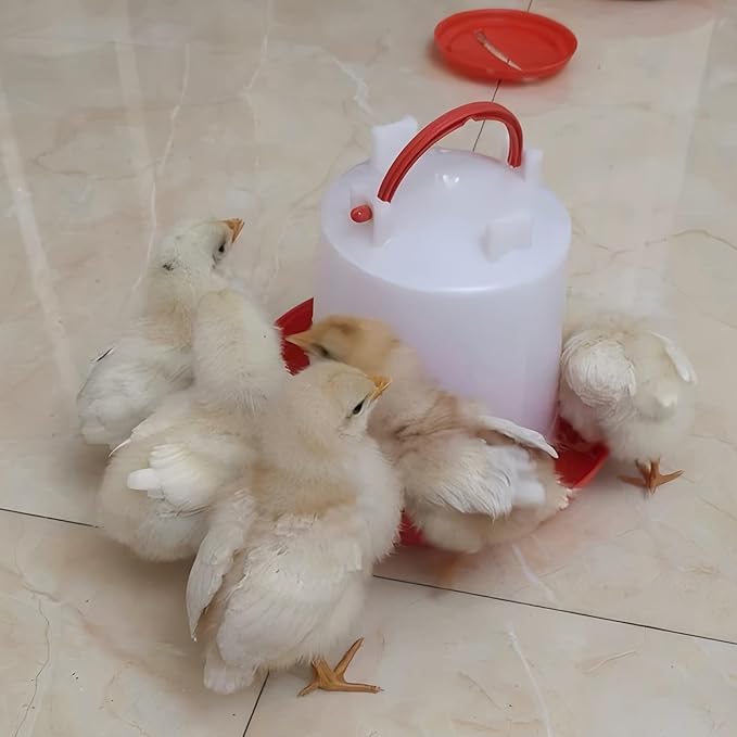 Poultry & Bird Water Dispenser 3L, 4-Pack – Easy to Refill Hanging Chicken Waterer for Ducks, Quail, and Small Birds
