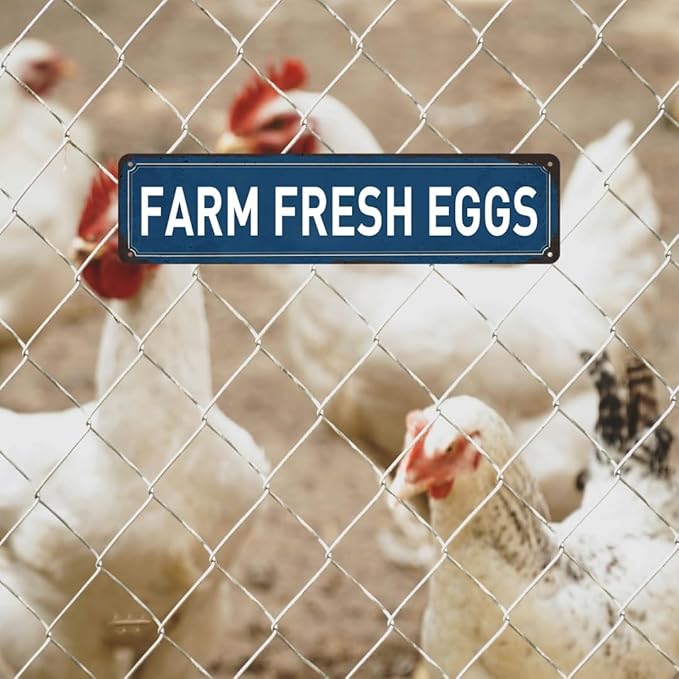 Farm Fresh Eggs Sign Chicken Coop Signs Farmers Market Decor Funny Outdoor Farm Fresh Chicken Wall Decor Accessories Farmers Market Decorations 4x16 Inch