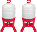 Little Giant 10 Gallon Tank Heavy Duty Poultry Chicken Gravity Waterer (2 Pack)