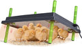 16"x22" Chick Brooder Heater Plate, Brooder Plate for Chicks with Adjustable Height & Temperature Display for Baby Chick Duck, 50W Constant Temperature Control Chick Warmer for Energy Saving