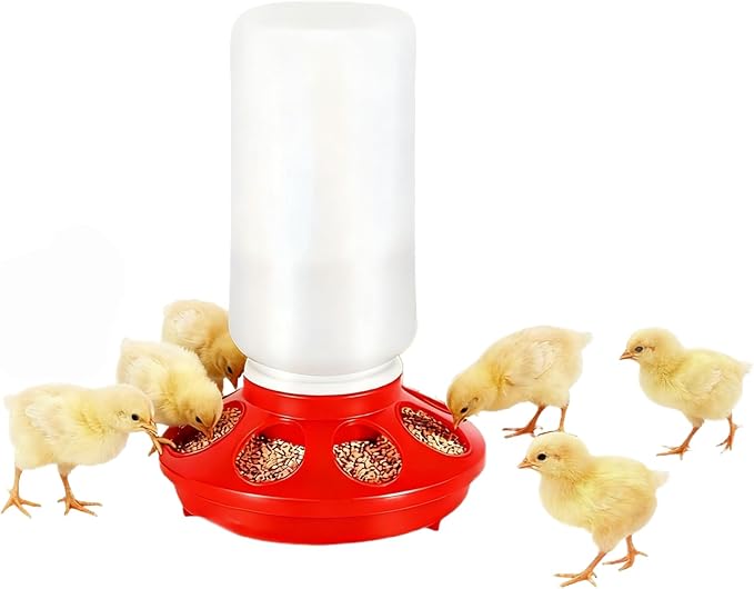 12-Hole No-Scratch & Spill-Proof Chick Feeder, Leak-Resistant Chick Waterer, and Poultry Waterer with Perches - Complete Brooder/Coop Starter Kit for Raising Poultry (Red Base Feeder)