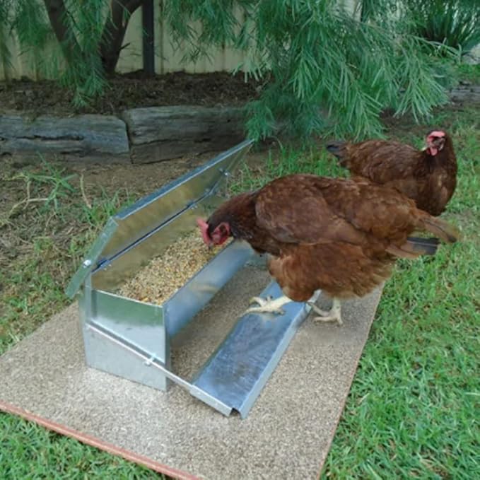 5L Automatic Chicken Feeder Poultry Treadle Galvanized Steel Trough for Roosters Pheasant Chicken Outdoor Coop, Rat Proof with Weatherproof Lid