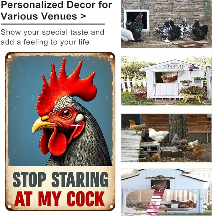 Funny Chicken Gifts Chicken Cluck Around and Find Out Tin Sign for Home Farm Chicken Coop Farmhouse Kitchen Garden Decor 12 X 16 Inch