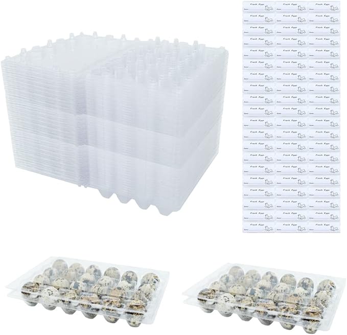 Quail Egg Cartons 60 Packs, Clear Eco-friendly Plastic Blank Egg Cartons with Free Labels, Holds up to 24 Quail Eggs Securely, Perfect for Family Pasture Farm Markets Display - Small