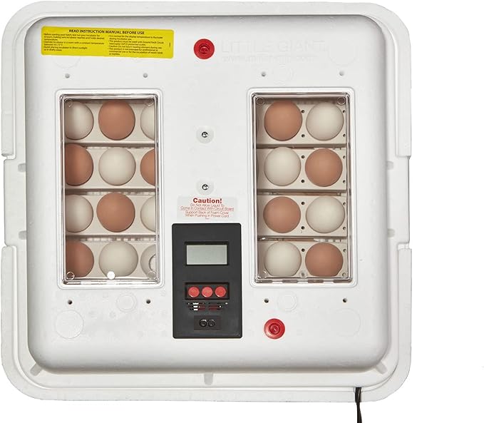 Little Giant® Digital Circulated Air Incubator with Automatic Turner | 41 Eggs | Egg Incubator with Fan and Egg Turner