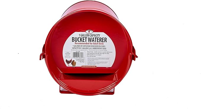 Little Giant® Painted Galvanized Bucket Waterer | Chicken Waterer | Heavy Duty Gravity Fed Water Tank | Easy to Carry | 1 Gallon