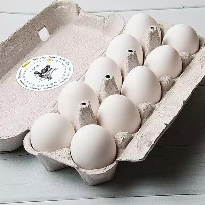 320 Pcs Duck Egg Laid on Stickers, 2 Inch Round Farm Fresh Eggs Sticker Round Eggs Stickers PET Adhesive Egg Packaging Sticker for Box Container Carton Farm Supplies
