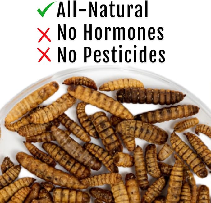 Healthy Chickens Bundle - Herb Supplements for Backyard Chickens and Grub Fuel Black Soldier Fly Larvae - Nutrient Packed Chicken Treats, Poultry Feed