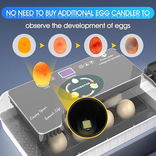 12 Egg Incubator - Automatic Egg Turner, Temperature Control, Built-in Candler, Auto Water Refill for Hatching Chicken, Duck, Quail & Bird Eggs